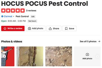 HOCUS POCUS Pest Control